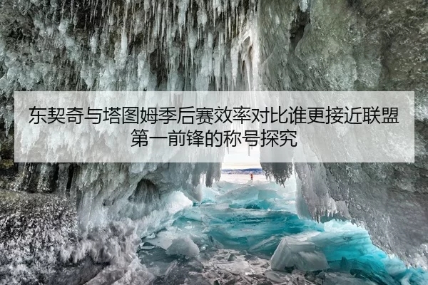 东契奇与塔图姆季后赛效率对比谁更接近联盟第一前锋的称号探究