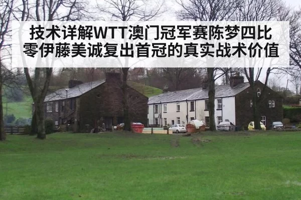 技术详解WTT澳门冠军赛陈梦四比零伊藤美诚复出首冠的真实战术价值