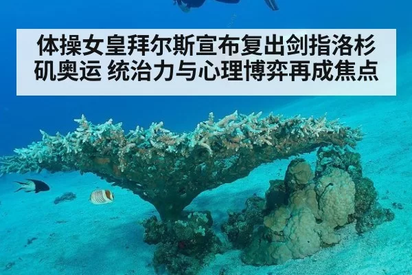 体操女皇拜尔斯宣布复出剑指洛杉矶奥运 统治力与心理博弈再成焦点